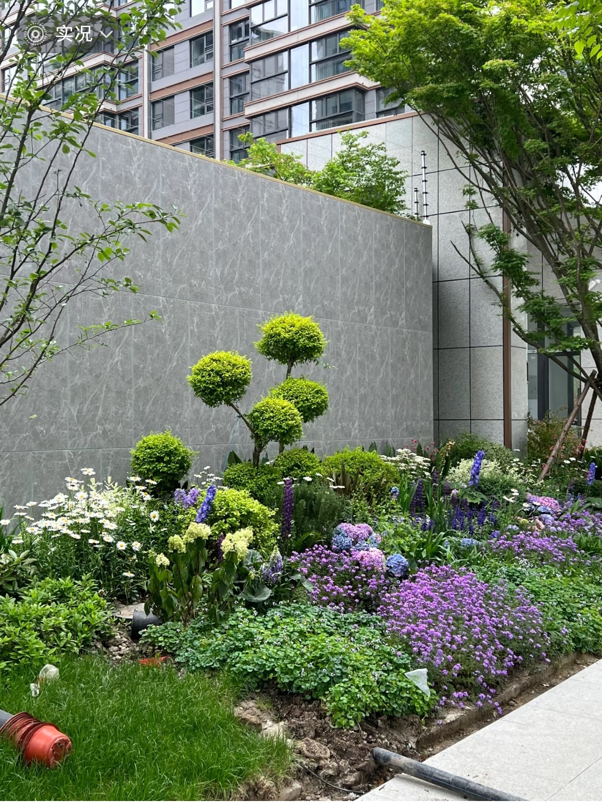 屋顶花园