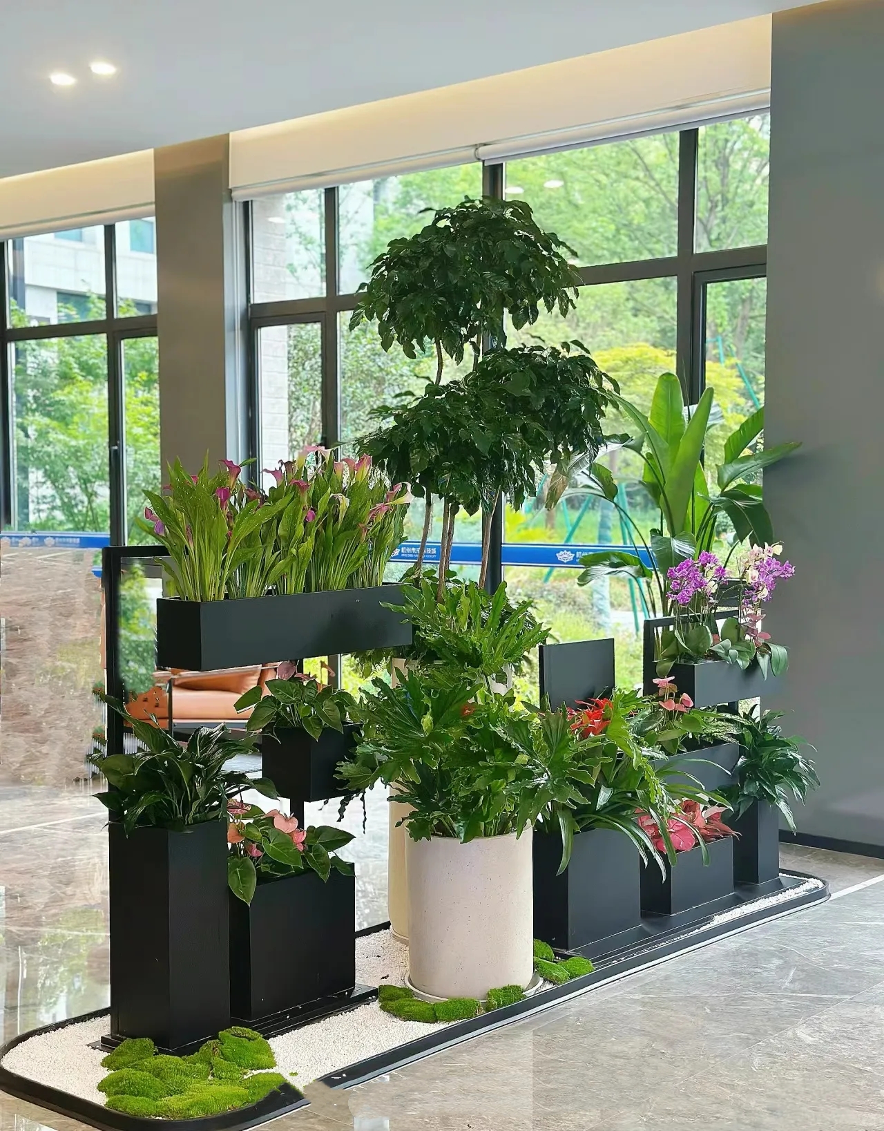 绿植租赁
